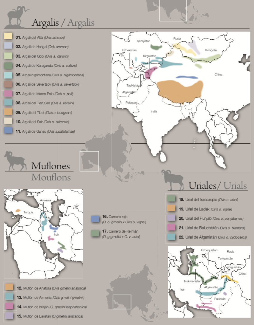 Asia