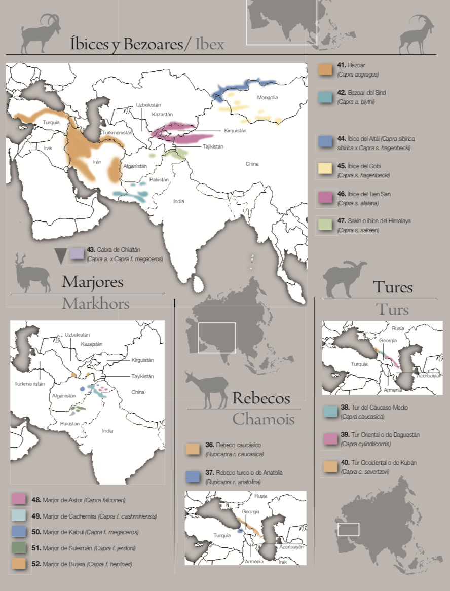 Asia