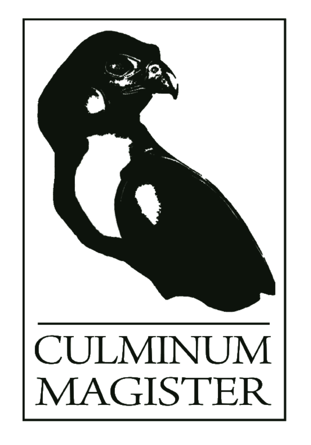 Culminum Magister - caza Madrid