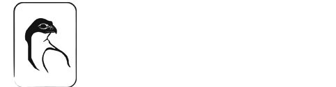 Culminum Amicus - caza Madrid