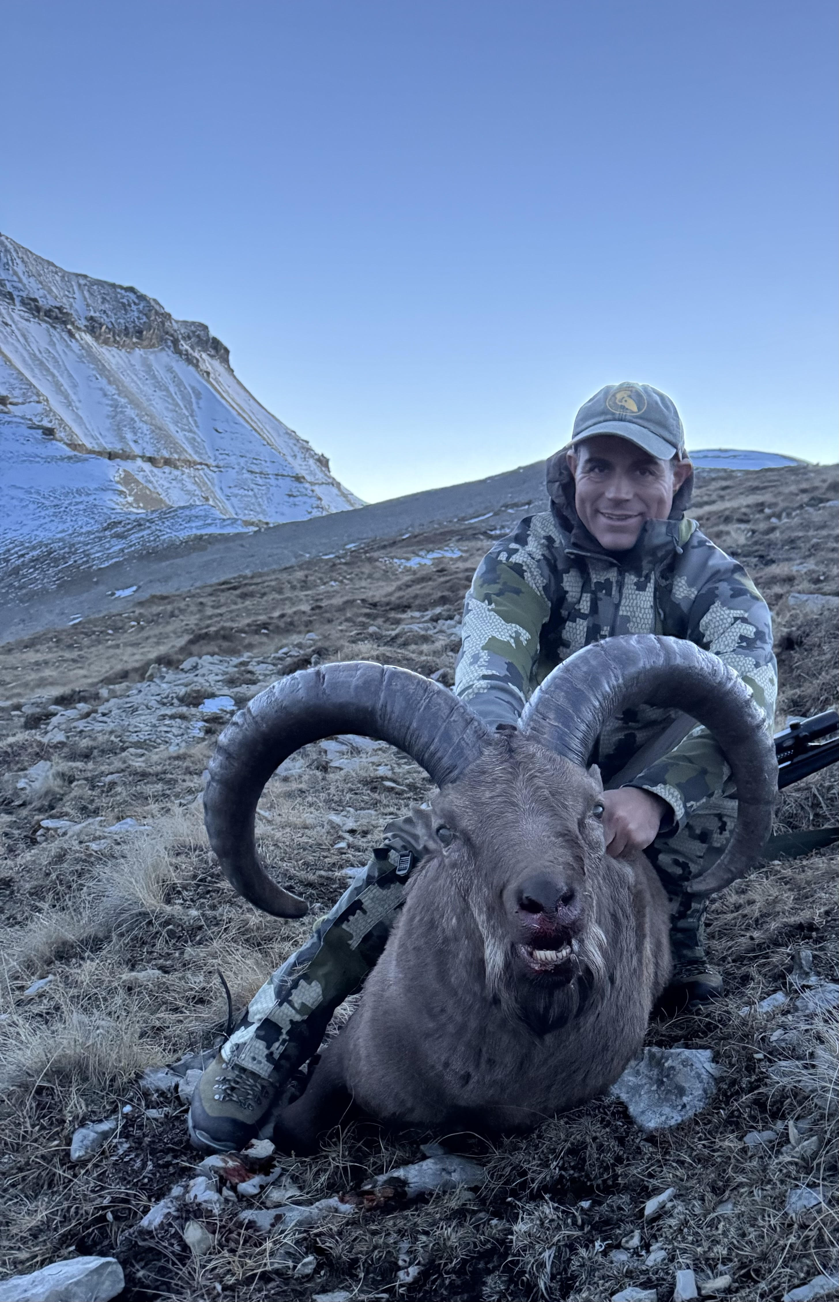 UN ANIMAL FORMIDABLE