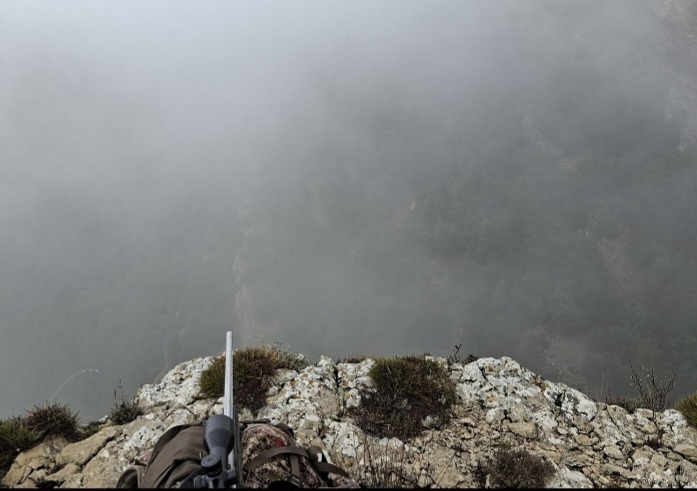 La niebla tapo el macho justo en el momento clave....