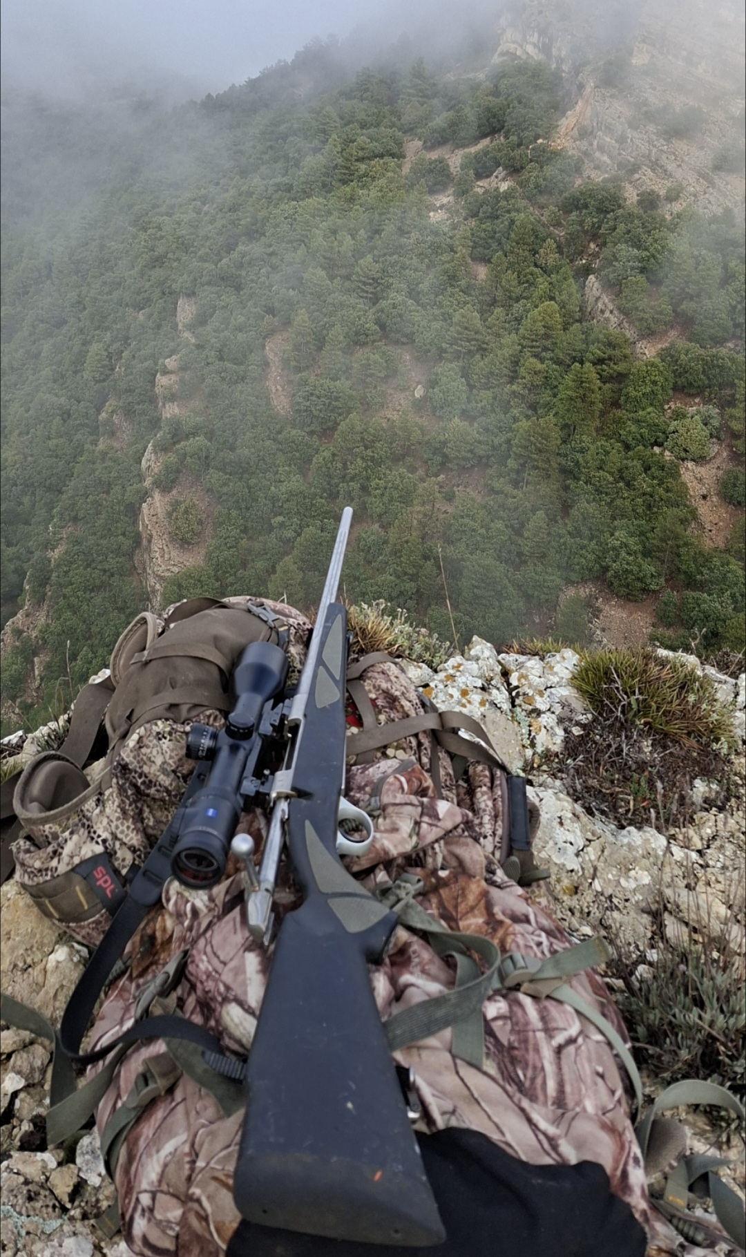 ...pero al abrirse me dio unos segundos para cumplir mi sueño